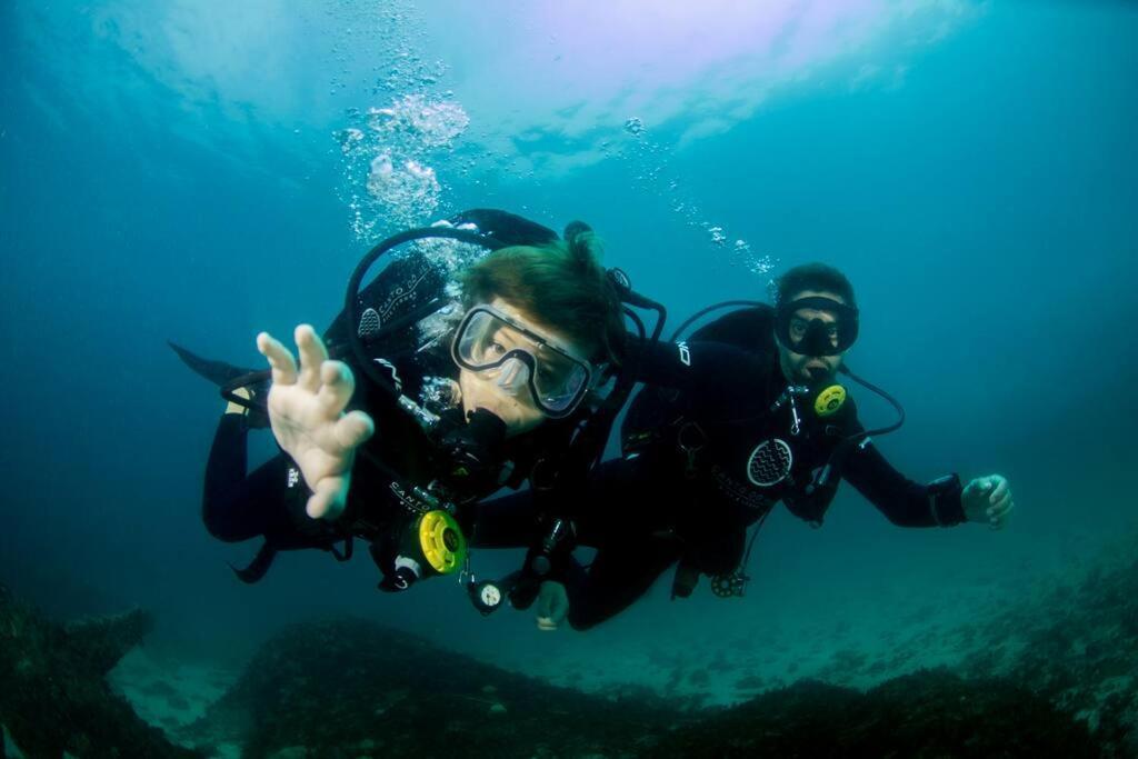 Canto Do Ile Dive & Lodge 파라티 외부 사진