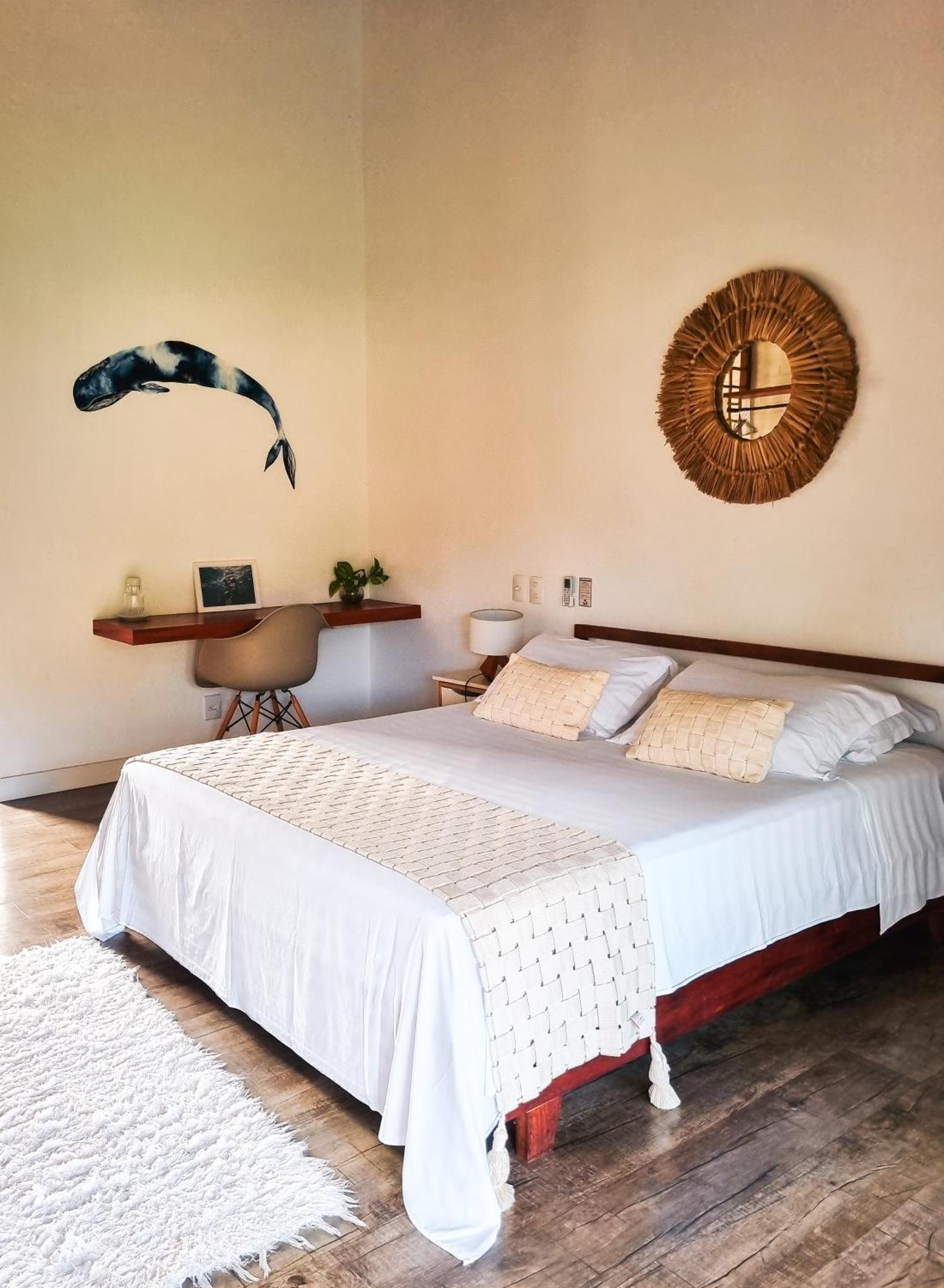 Canto Do Ile Dive & Lodge 파라티 외부 사진
